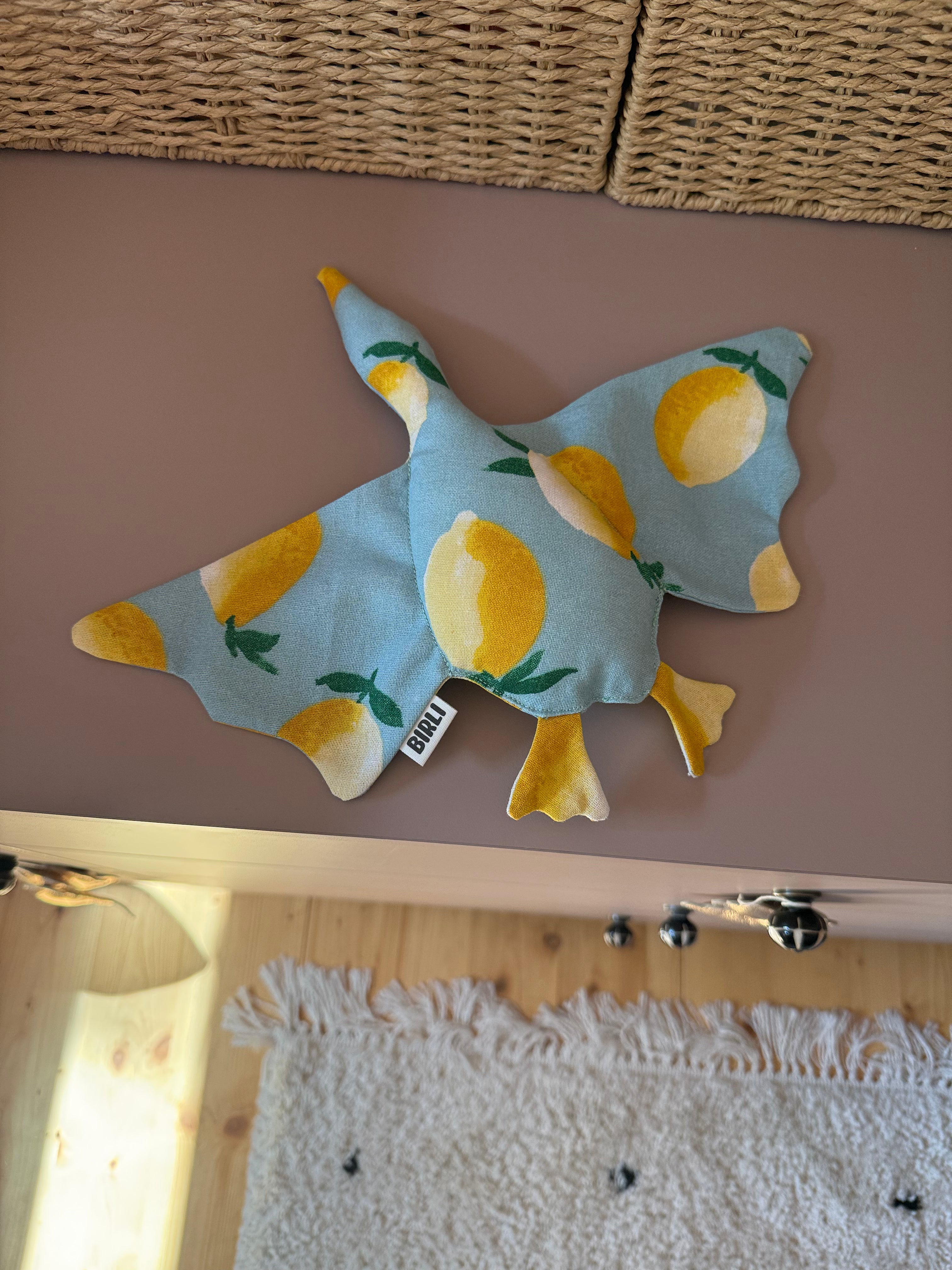 Le petit oiseau Birli